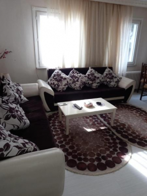 Luxurious apartment for tourist rent